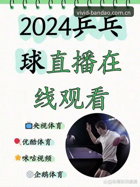半岛体育体育直播 资深用户分享:半岛体育体育直播实战使用心得与行业趋势观察